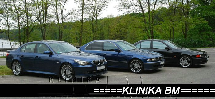 serwis alpina