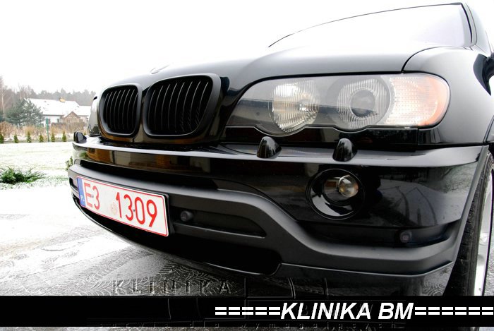 bmw e53 X5 4.6is